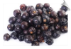 Juniper Berry CO2 | Alabama Essential Oils